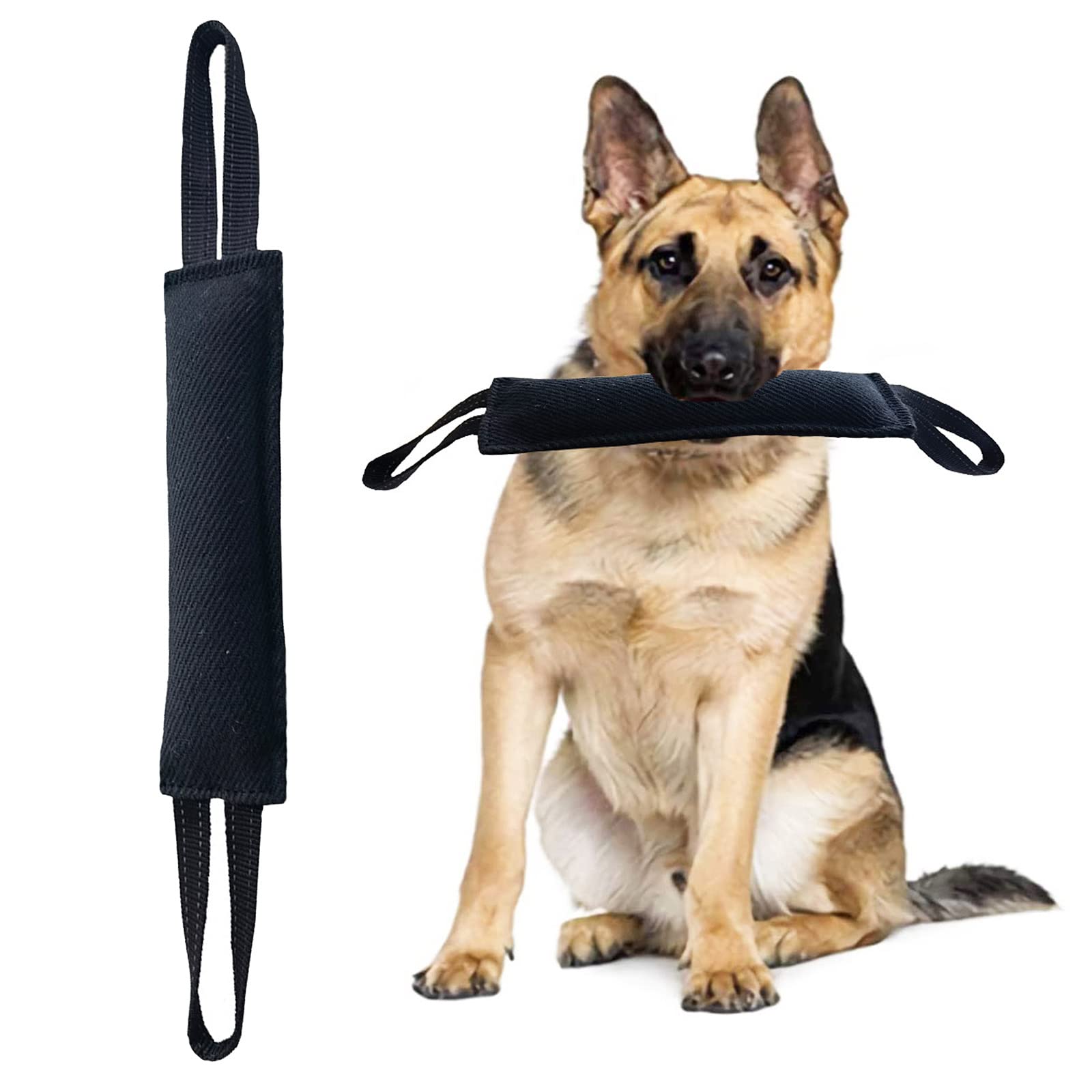 Why Does My Dog Nibble Pillows