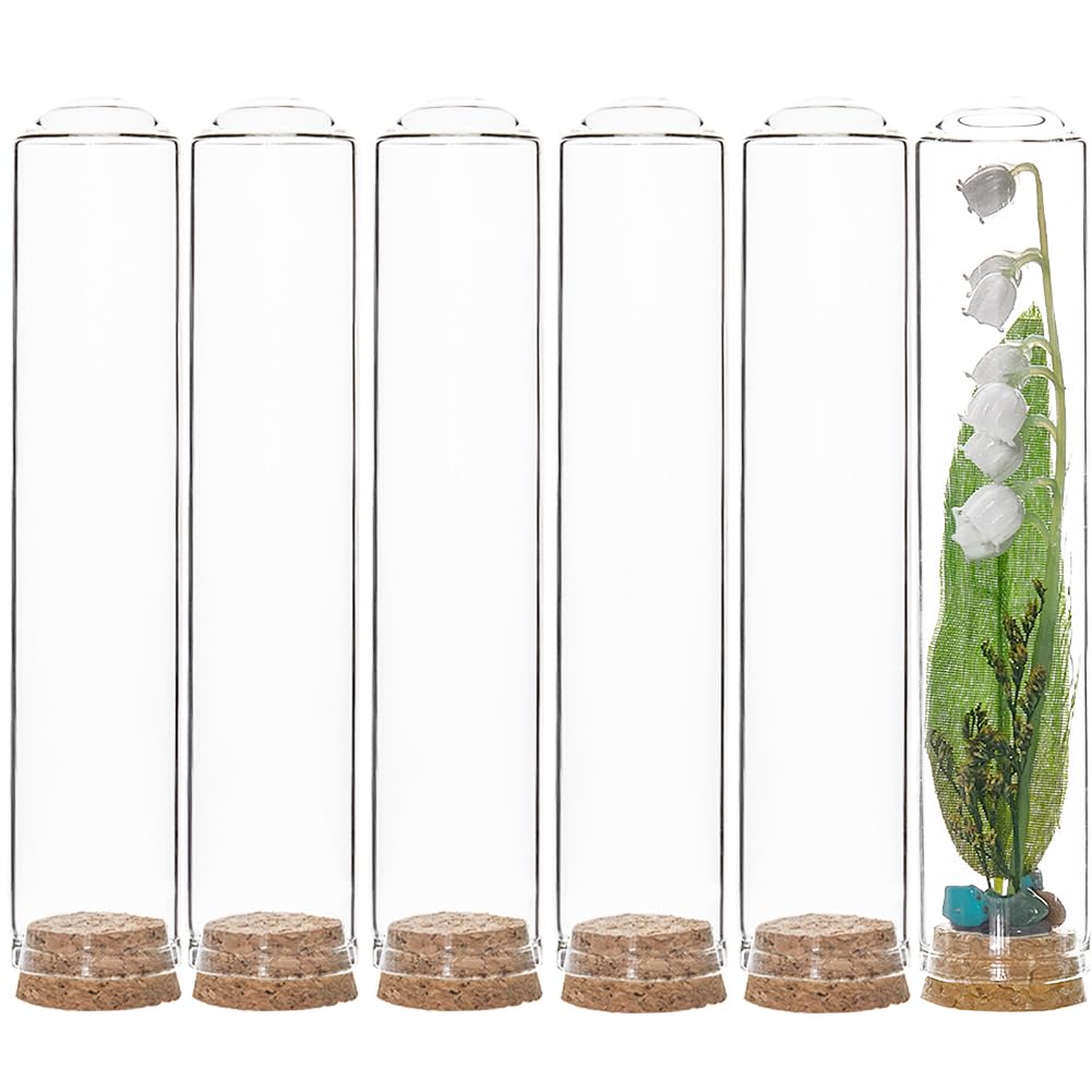 Mini bouteille en verre 80 ml pour décoration de table de Noël et fête