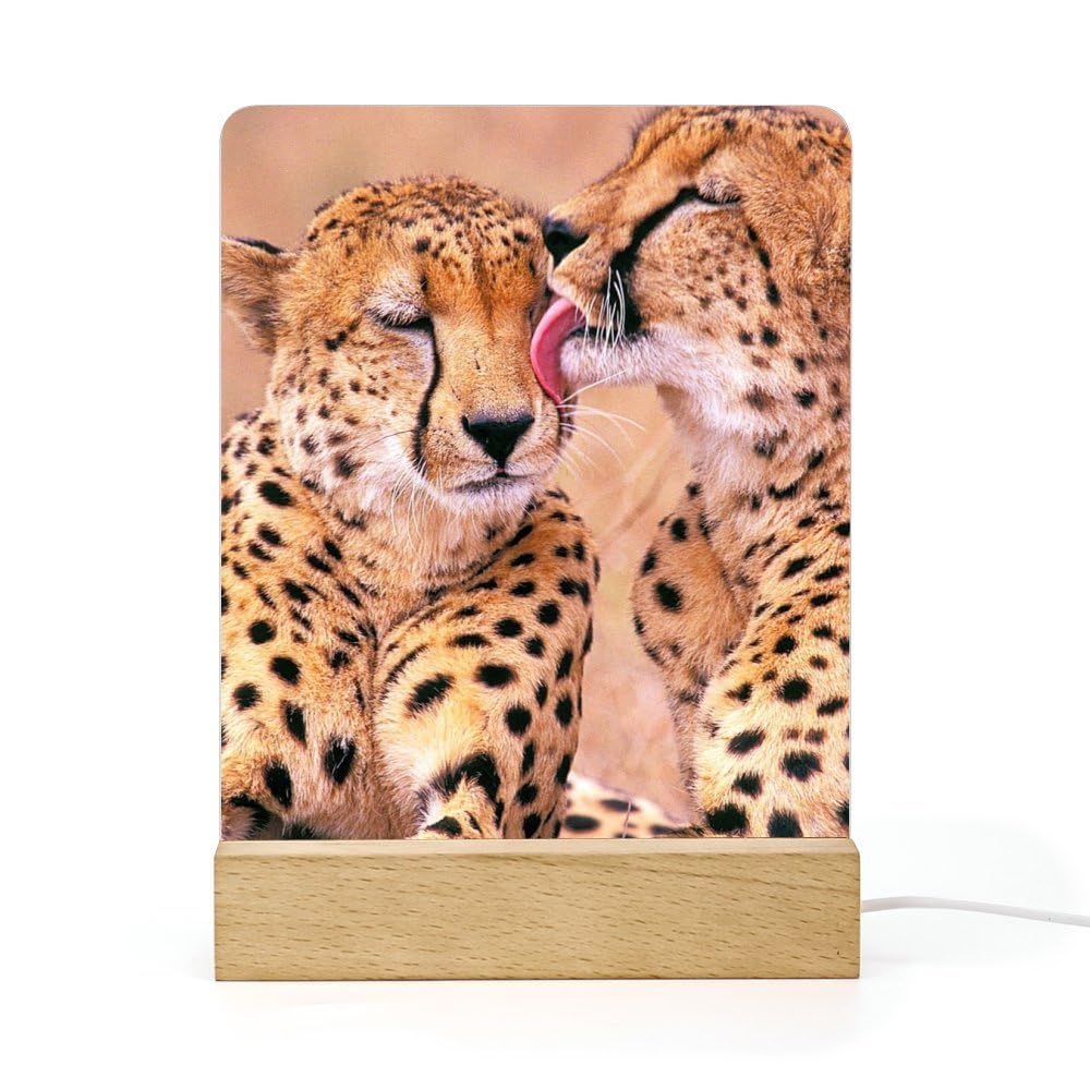 Cmagnifico Acrylic Night Light,Cheetah Couple, USB Port, Gift for Friends, Family, Lovers