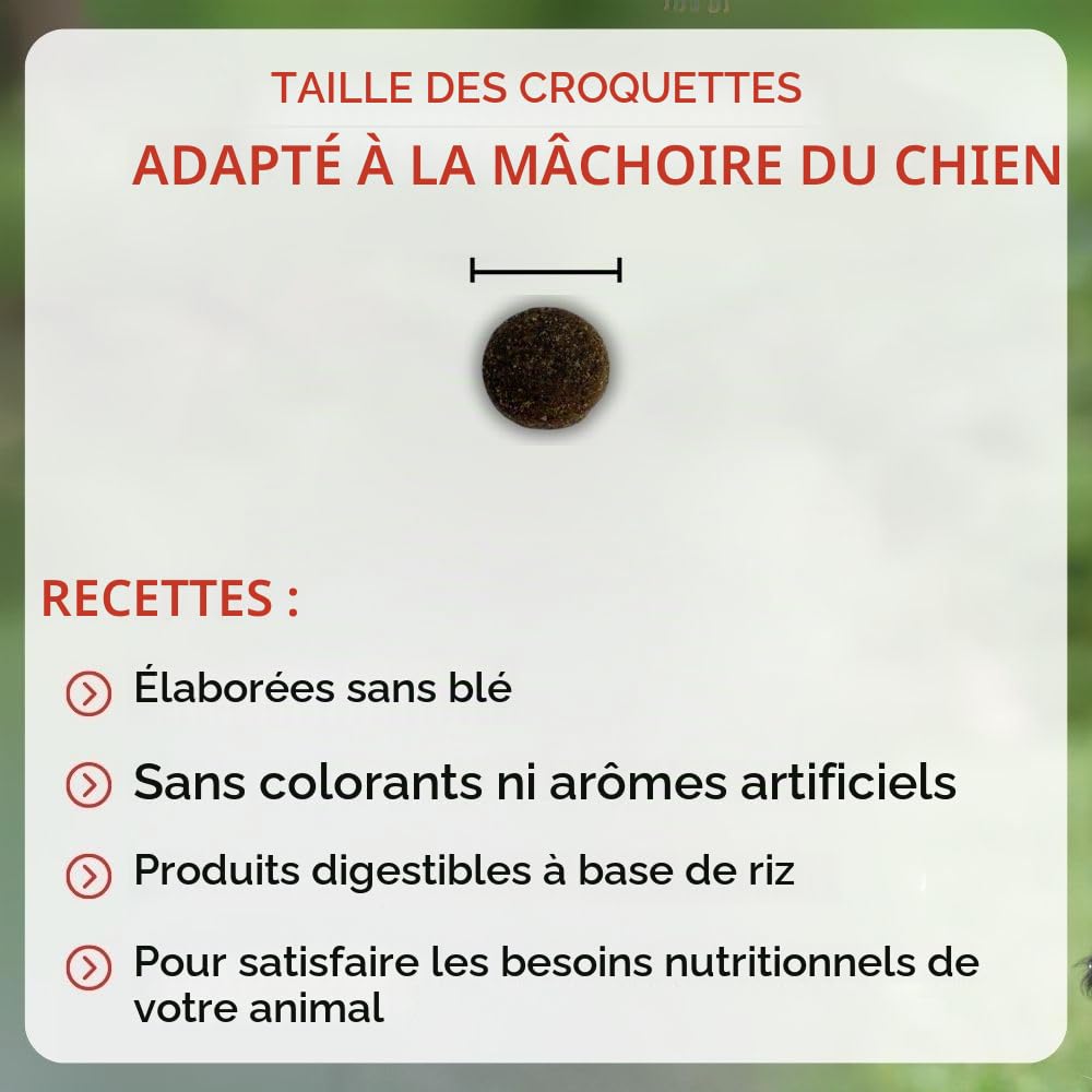 NUTRIVET - Super Premium - Adulte Energie - Croquettes sans Blé - Chien - Riche en Protéines Animales - 15 kg