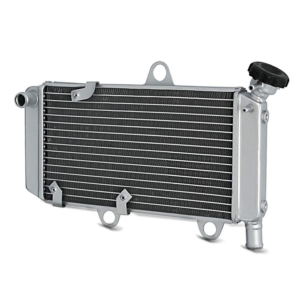 Radiateur pour Yamaha XT 660 R X 04-14 Refroidisseur d'huile Zaddox