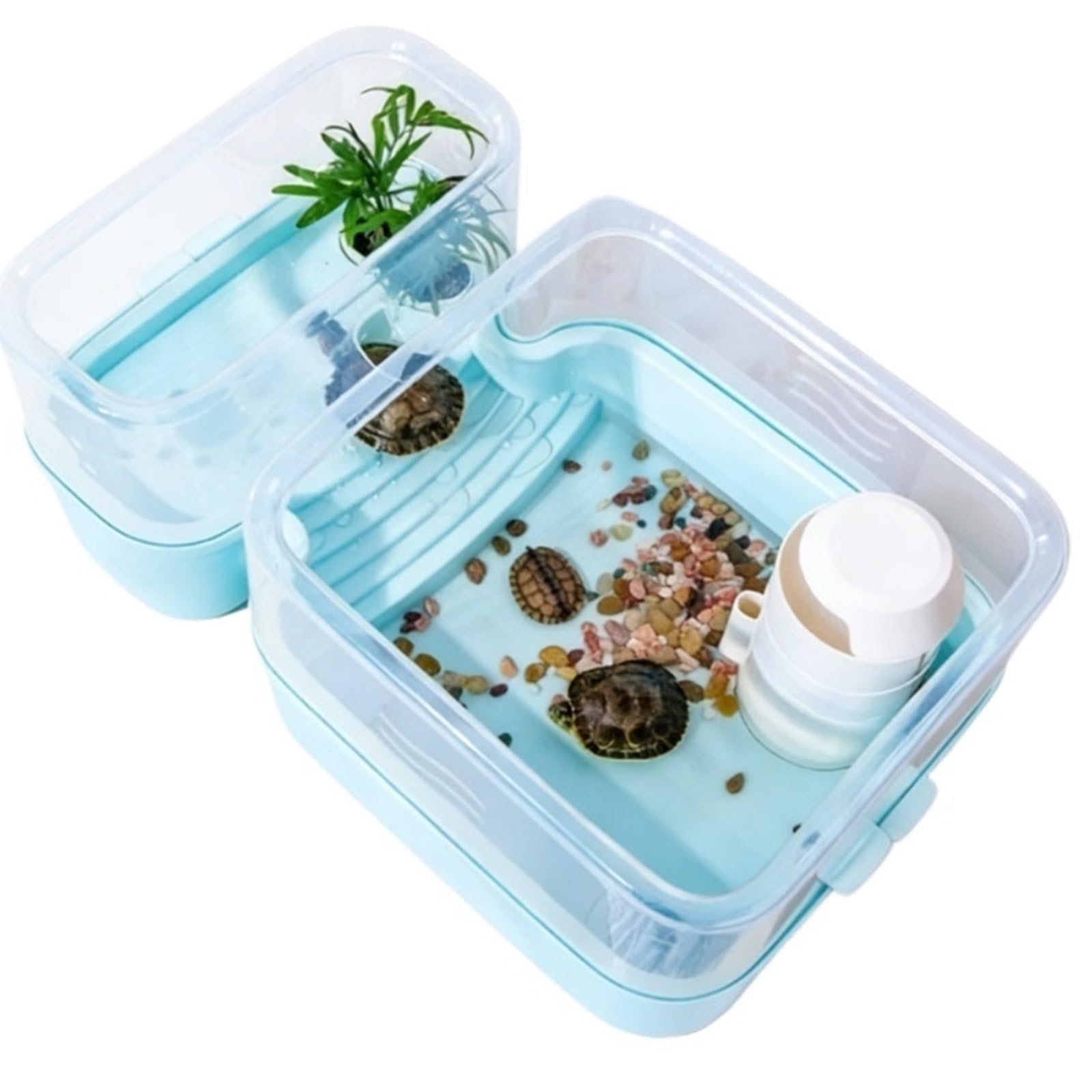 Acuario para Tortugas Caja de cría Tortugas paisajística ecológica pequeña integrada(Grande)
