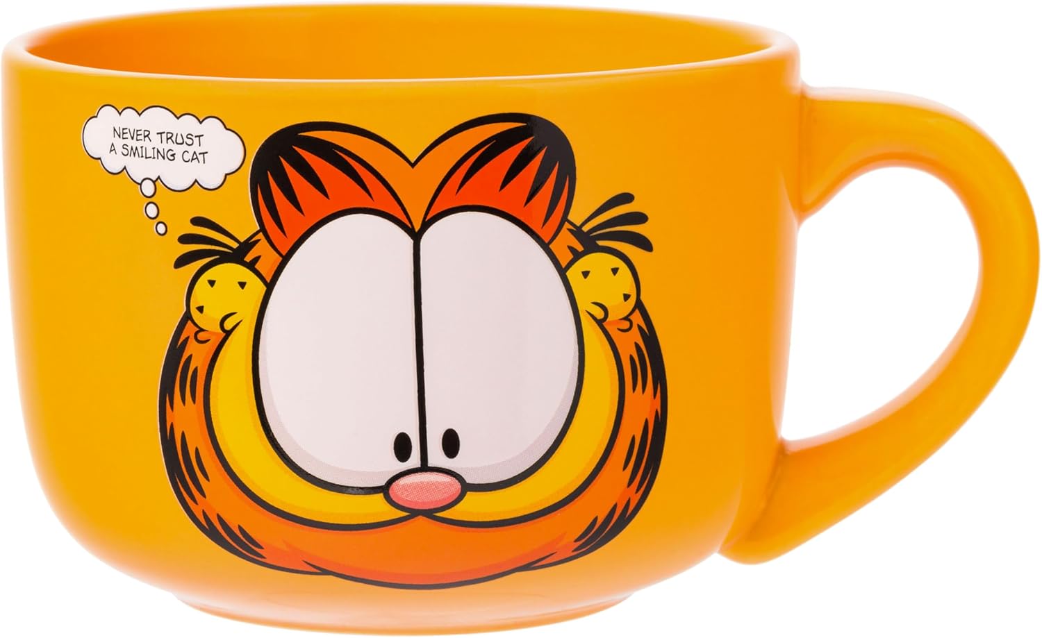 Amazon.com: Silver Buffalo Garfield Never Trust a Smiling Cat