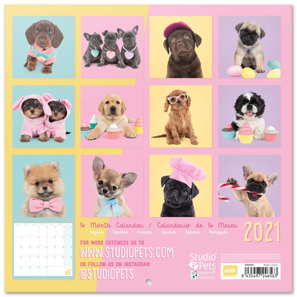 Calendario Da Parete 2021 Gatti Chantrenne - 16 Mesi, 30x30 Cm, Multilingue Con Fasi Lunari - Foto 7