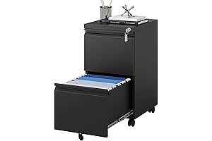 MIIIKO 2-Drawer Filing Cabinet on Wheels for Efficient and Portable Storage
