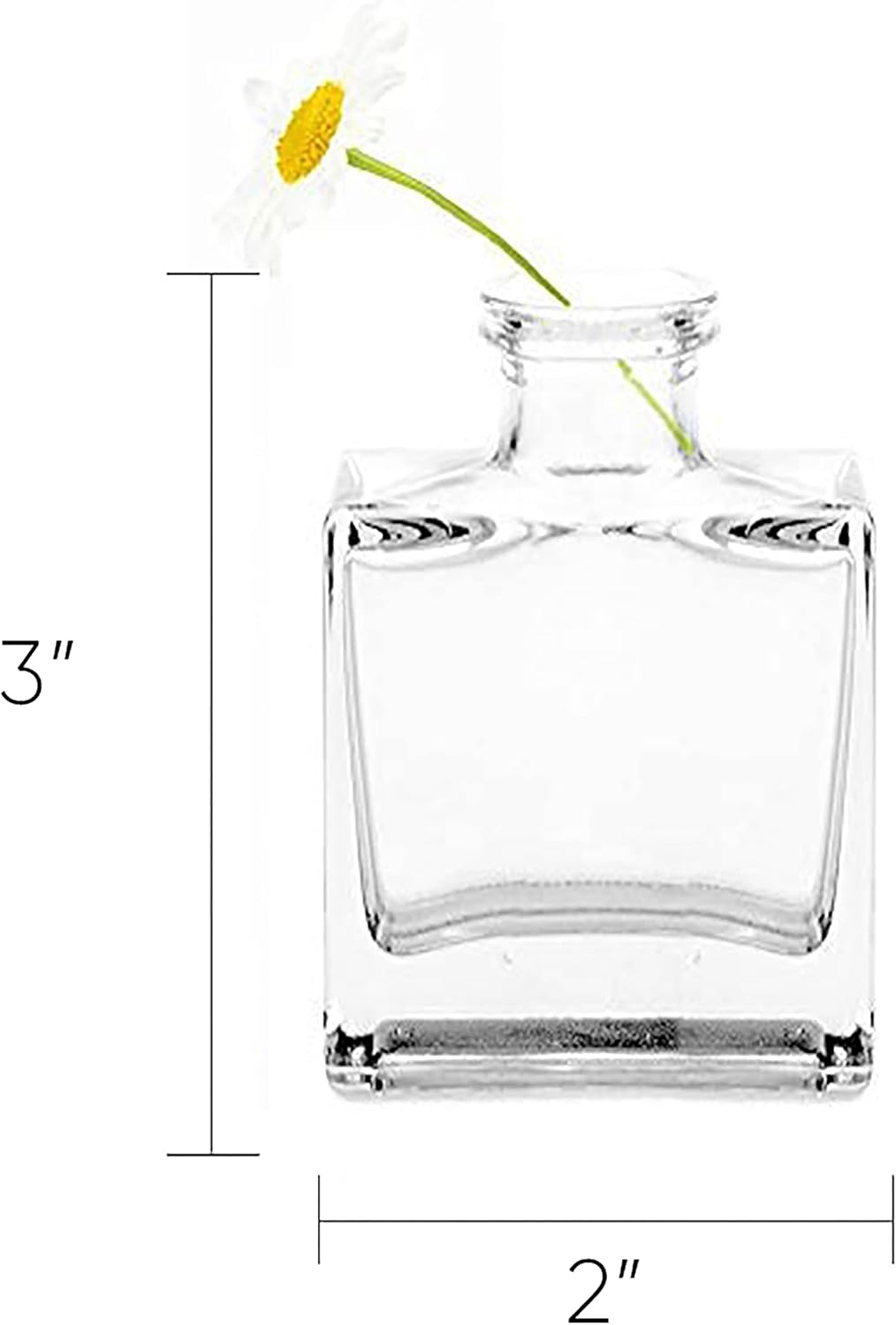 CHIVE ‘Loft’ Small Mini Flower Vases - Clear Glass Bud Vases, Set of 10 Color - Cute Vintage Rustic Centerpieces for Wedding, Events & Home - Premium Quality, Designed to Last - Image 5