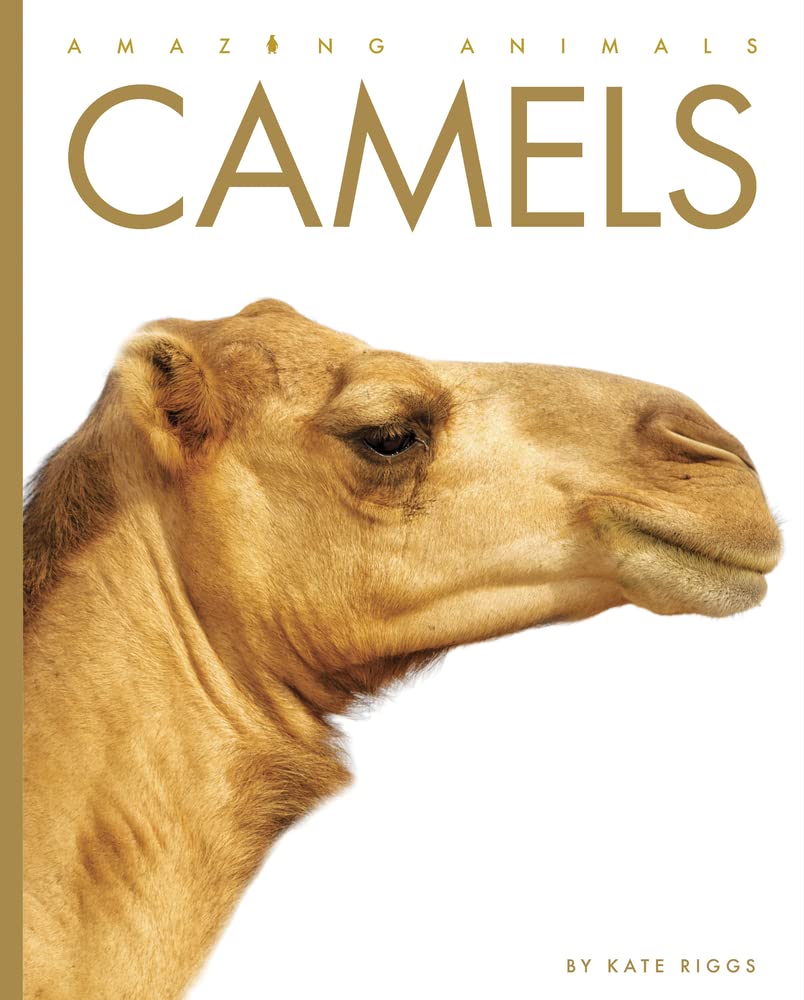 Camels (Amazing Animals) Riggs, Kate Amazon.in Books