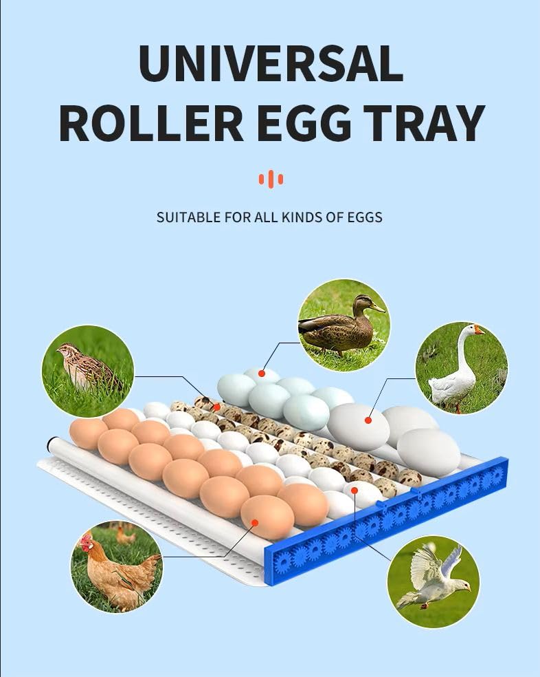 Image of 64 Egg Automatic Egg Incubator with Digital Temperature & Humidity Control | Auto Egg Turning Poultry Hatcher for Chicken, Duck, Goose & Quail