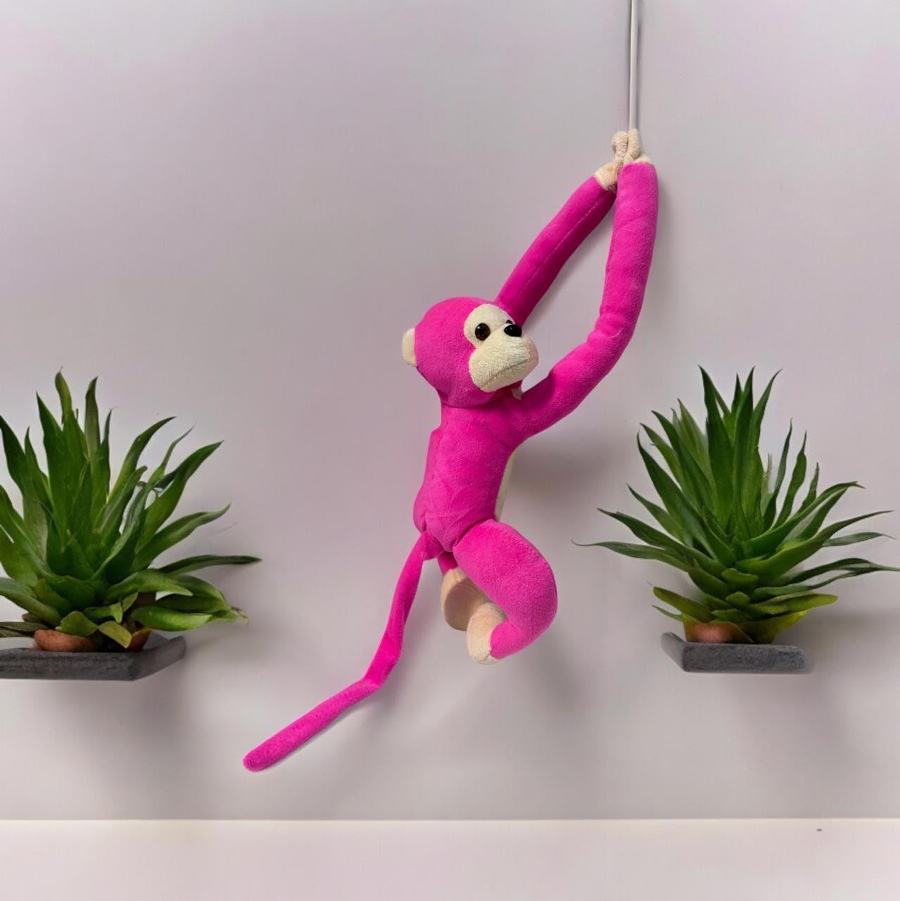 See full amazon price history chart for AAYU Charming Monkey Curtain Holder - Fun and Functional Plush Tiebacks for Kids’ Rooms |Pink| AAYU Charming Monkey Curtain Holder - Fun and Functional Plush Tiebacks for Kids’ Rooms |Pink| (B0D7S3G738) Amazon Price History, Amazon Price Tracker