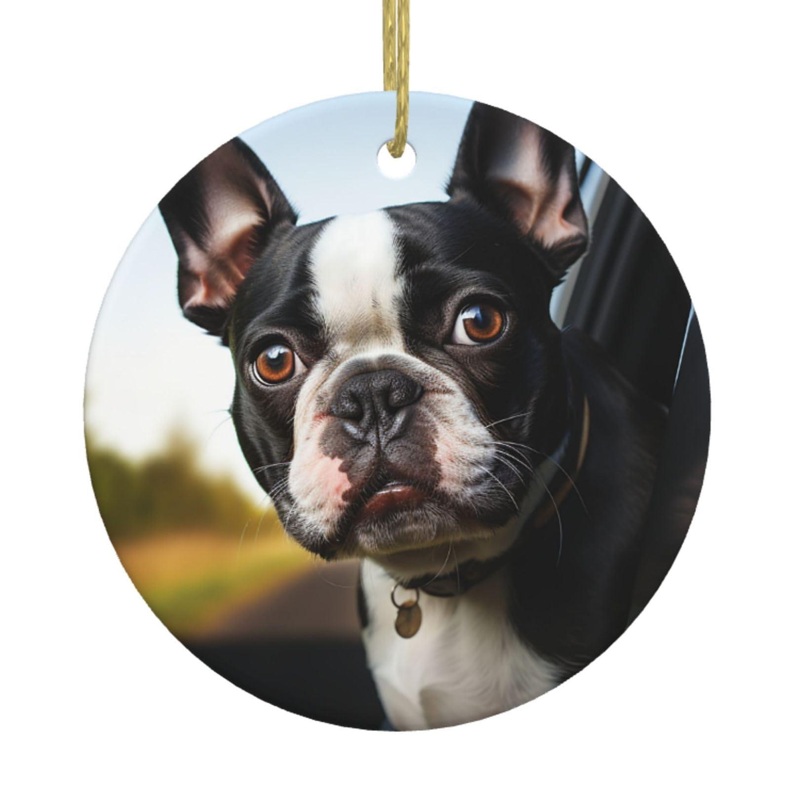 Fodpand Women's White Puppy Dog Boston Terrier Christmas Ornaments 2025, Gift Exchange For Men, Collectible Ceramic Ornament Round Hanging Ornaments For Christmas Tree Decoration
