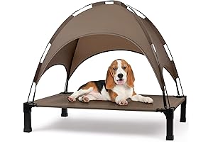 Elevated Outdoor Dog Bed with Canopy