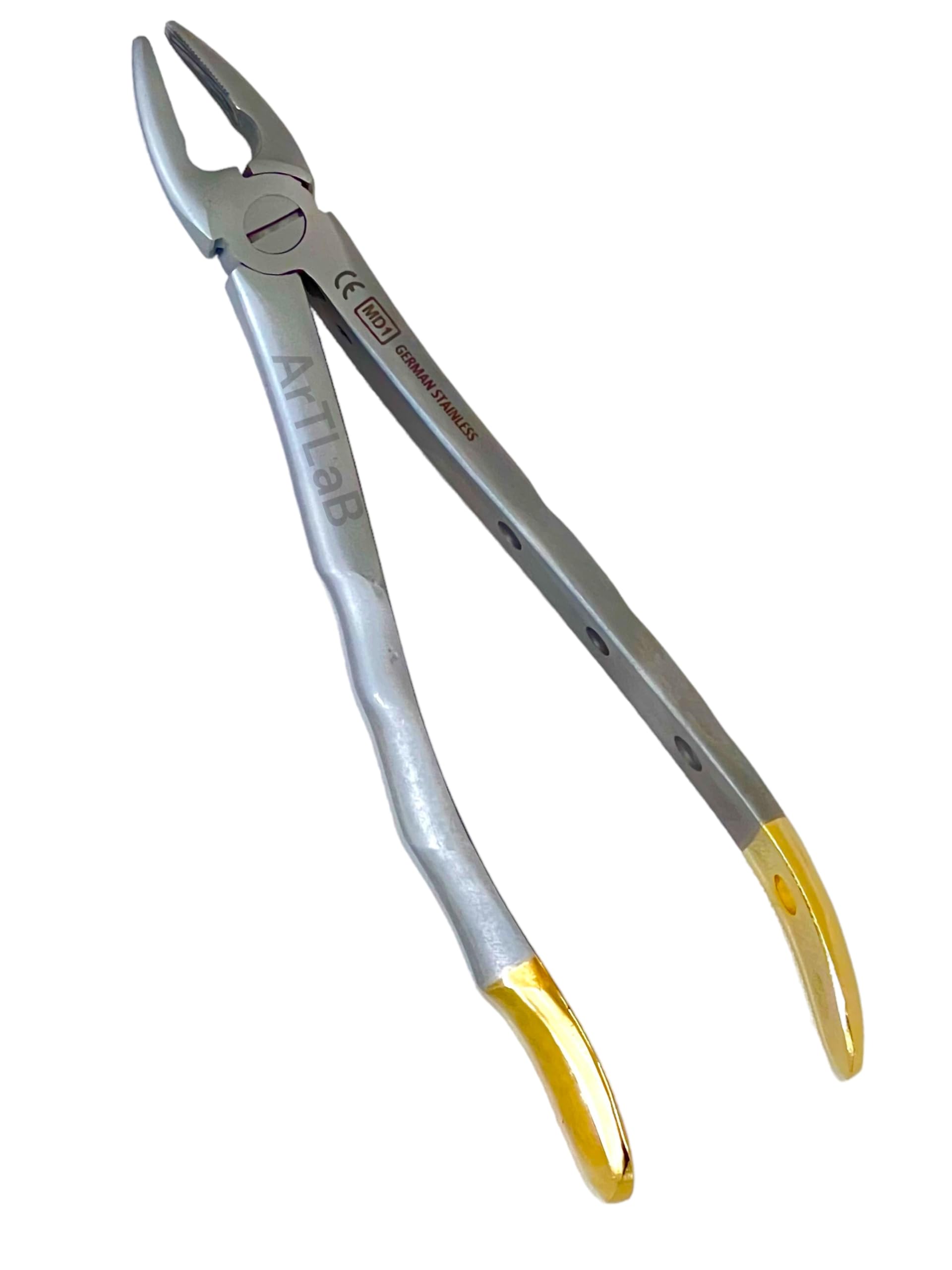 Set of 2 - Root Tooth Extracting Forceps MD1+MD2, MD3+M4 Lower Upper Cuspid Bicuspid (Artlab) (Set of 2: MD1+M2)