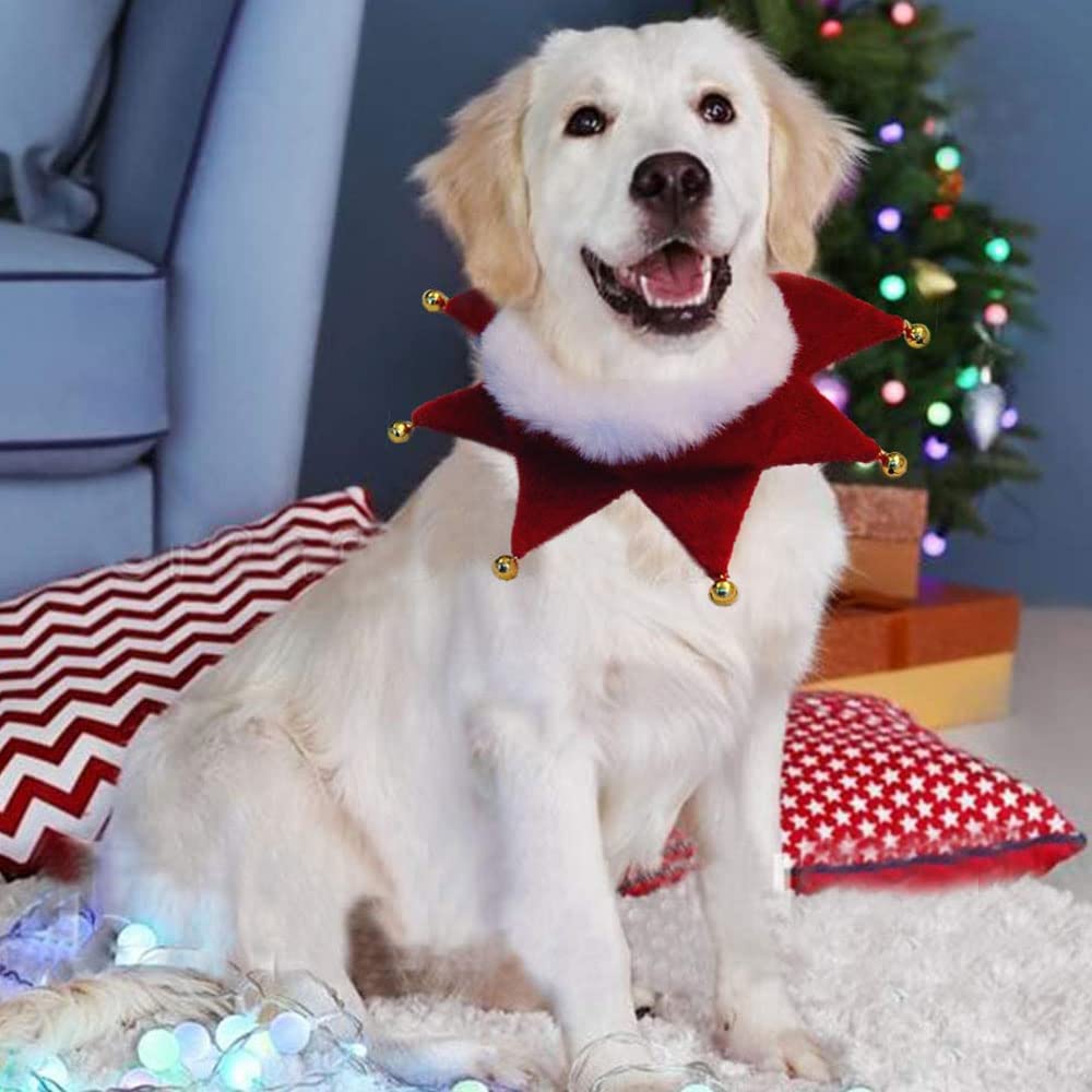 Weihnachts-Hundezubehör, Weihnachtliche Hundekekse Und Geschenke Online