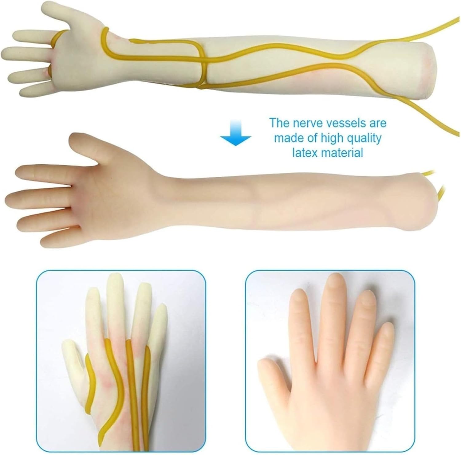 IV arm Practice Model, venipuncture Nursing Student Practice and Training Teaching Template
