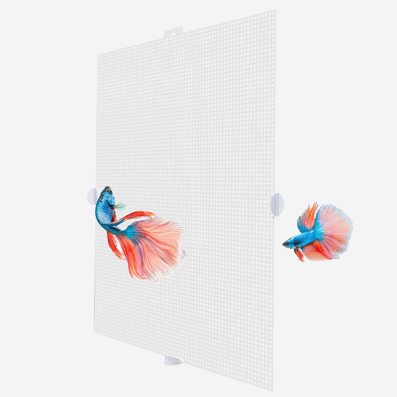 Sfondo Per Acquario Amtra Mystic - Poster Double Face 30x60 Cm, Decorativo, Impermeabile - Foto 11