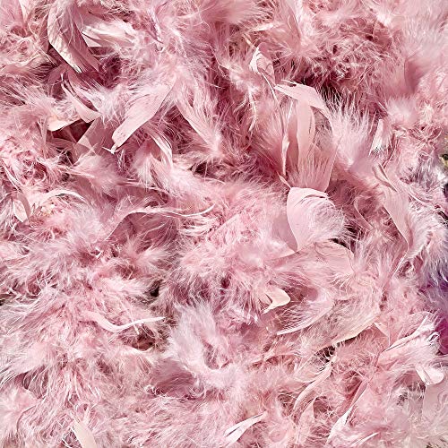 Cozy Glamour 6.5ft Feather Boas 50 Gram Weight Fabulously Fun, Stunningly Bright, Unbelievable Value, Great for Parties, Costumes, Crafts (Vintage Rose #70)