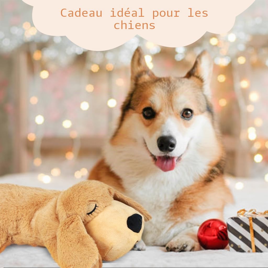 Vocheer Jouet en Peluche pour Chiot - Soulage l'Anxiété, Aide au Rythme Cardiaque et au Sommeil - Dressage Comportemental