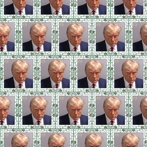 Decorative-Donald-Trump-Mug-Shot-Wrapping-Paper-President-45-Gift-Wrap-Republican-or-Democrat-Election-Theme-Party-Decor-One-20-inch-x-30-inch-sheet