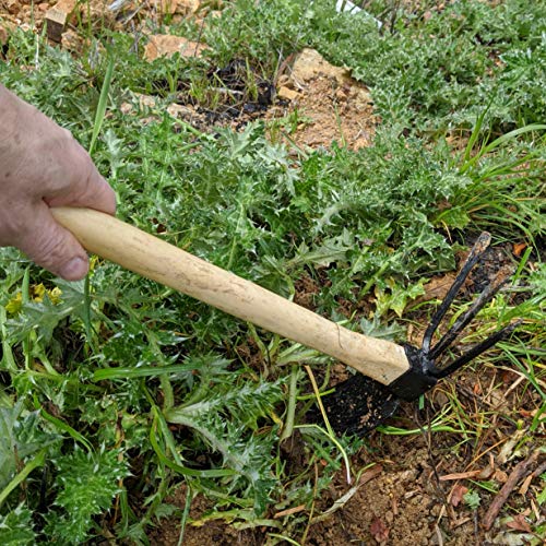 Truly Garden Cultivator Hoe - The Hand held Hoe and Cultivator Tiller is The Ultimate Garden Weeding Tool.