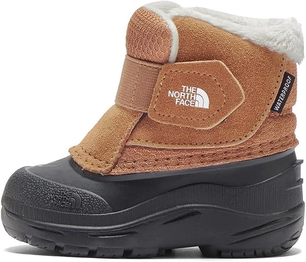 Amazon | [THE NORTH FACE] T Alpenglow II ボイセンベリー/TNF
