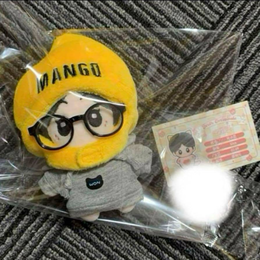 ジョンウォン　ぬいぐるみ　10cm 新品　マスター　ENHPEN Amazon.co.jp: ジョンウォン ぬいぐるみ 10cm マスター ENHPEN