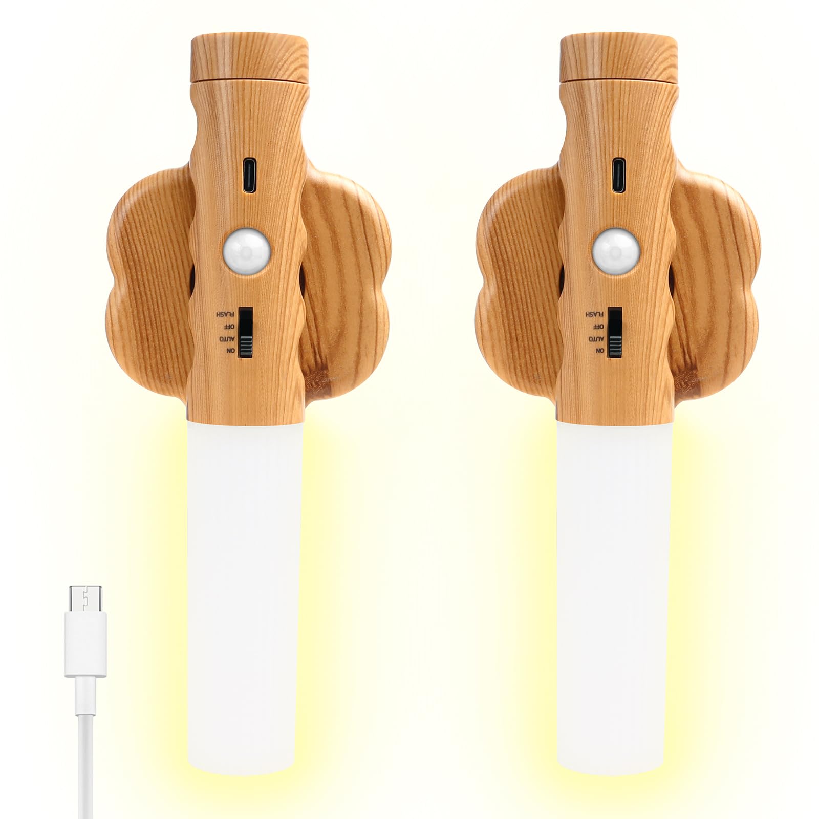 Rechargeable Wall Light Indoor
