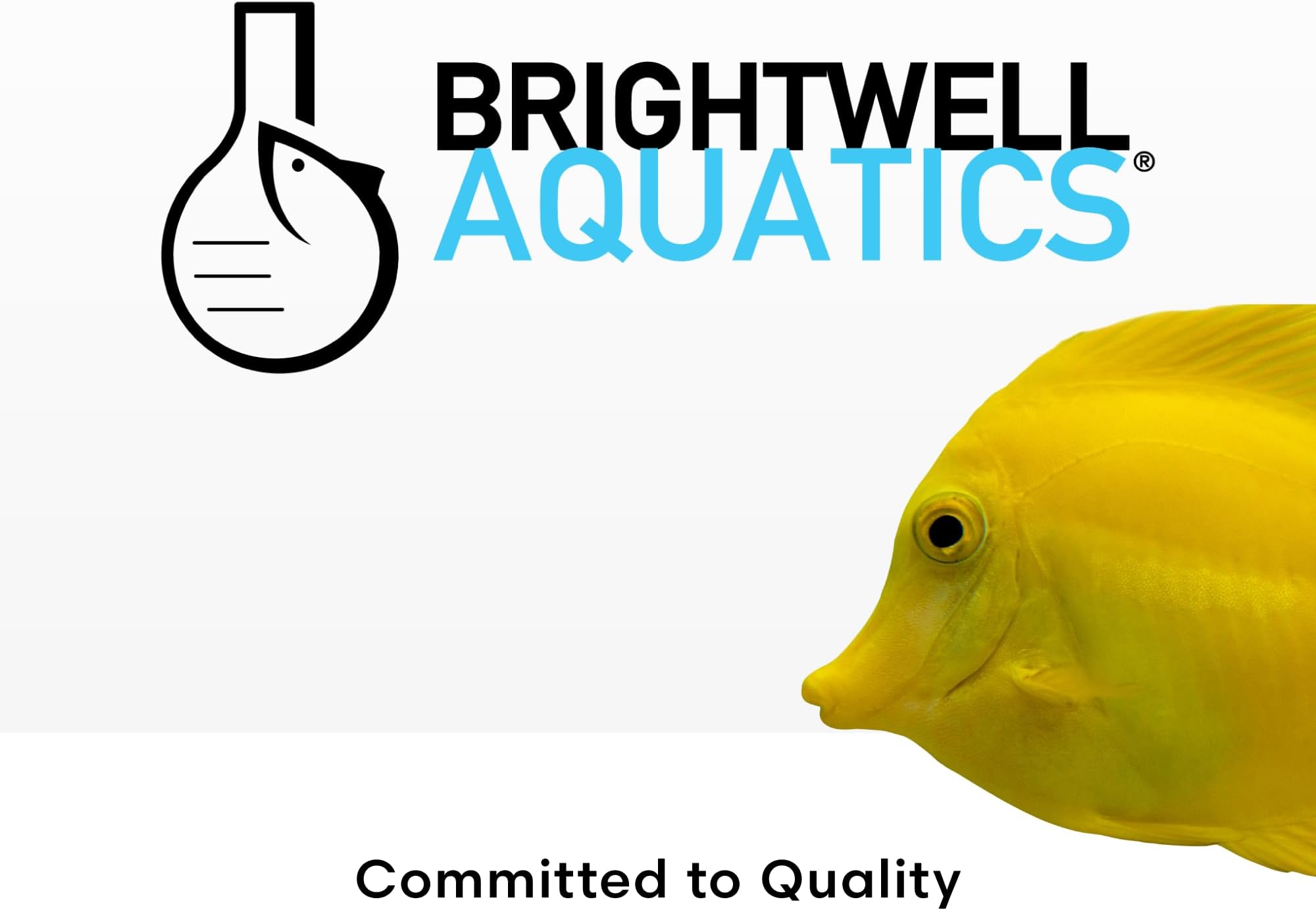 Brightwell Aquatics MicroBacter Start XLM - Concentrated Freshwater Nitrifying Bacteria - Quick Start Fish Tank Starter, Lift Microbe Levels & Water Filtering - Aquarium Water Treatments, 33.8 fl oz