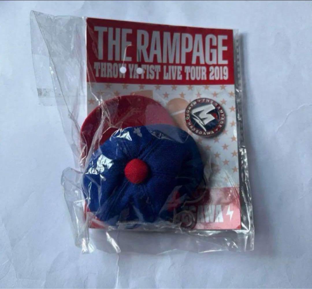 Amazon.co.jp: 長谷川慎 メンプロ TYF THEランページ : おもちゃ