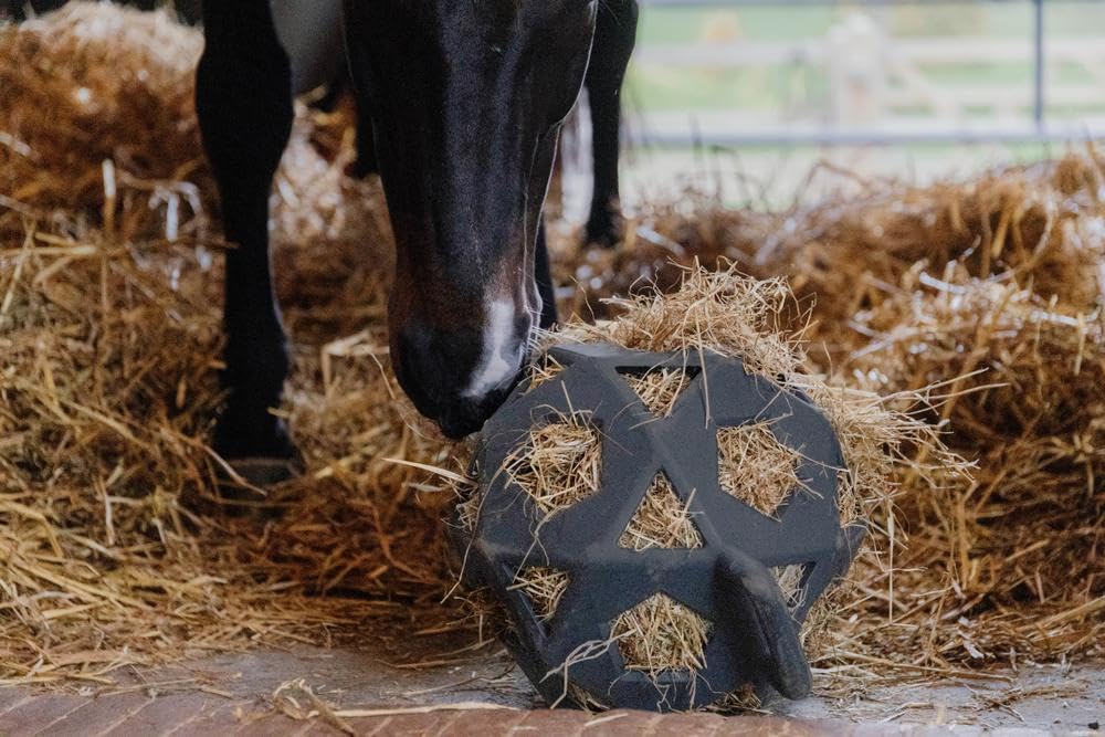 Kentucky - Relax Horse Spiel & Heuball grau Grösse L 40cm