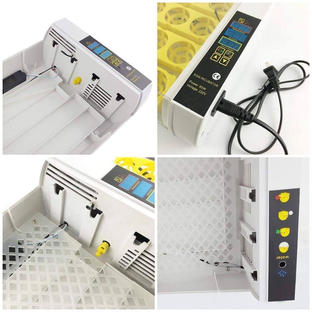 Incubadora De Huevos, Miniincubadora Digital Automática De 24 Huevos, Herramienta para Incubar Aves De Corral, Patos, Aves De Corral, Huevos De Gallina, Control De Temper