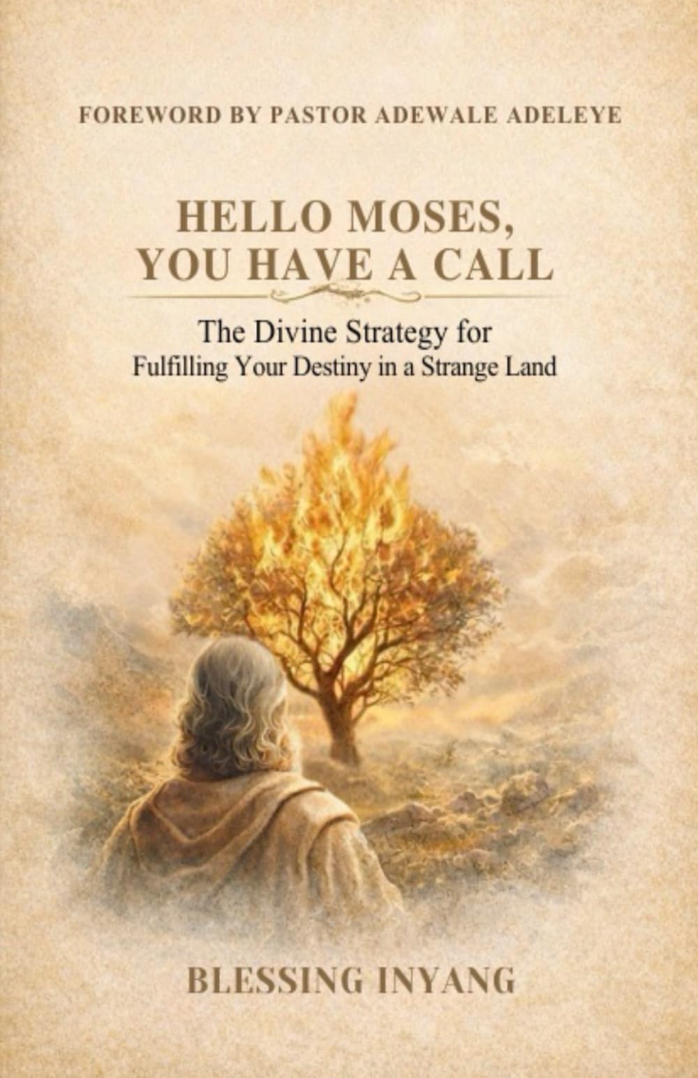 HELLO MOSES, YOU HAVE A CALL: (The Divine Strategy for Fulfilling Your Destiny in a “Strange Land”)