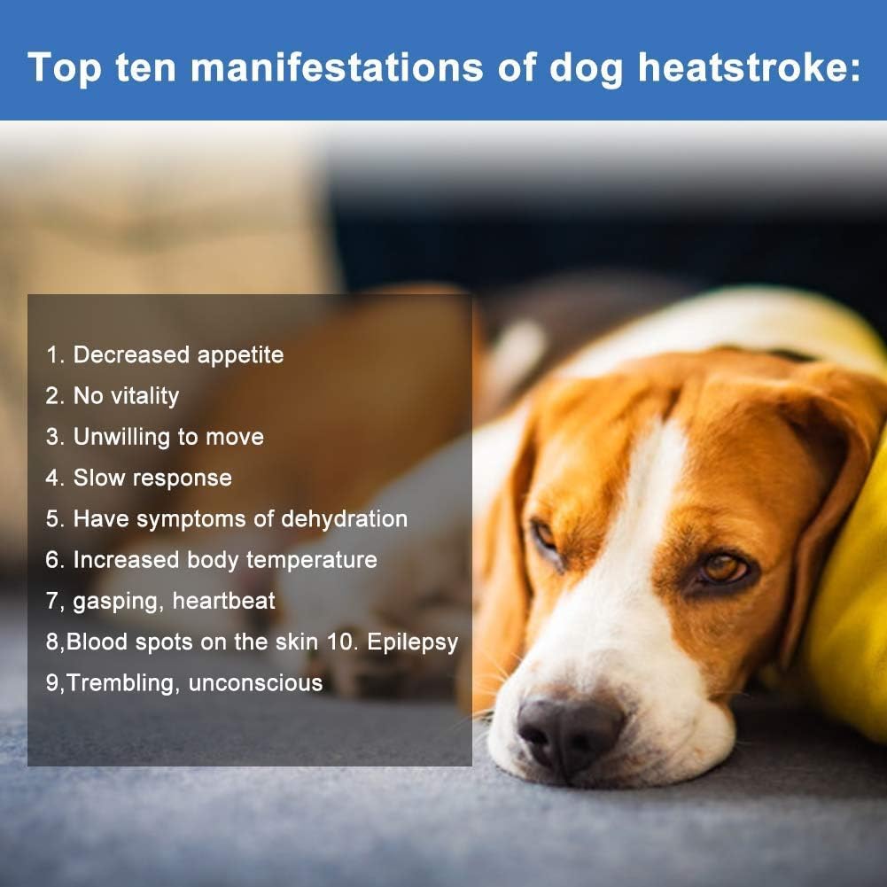 Dog Cooling Coat - Image 4