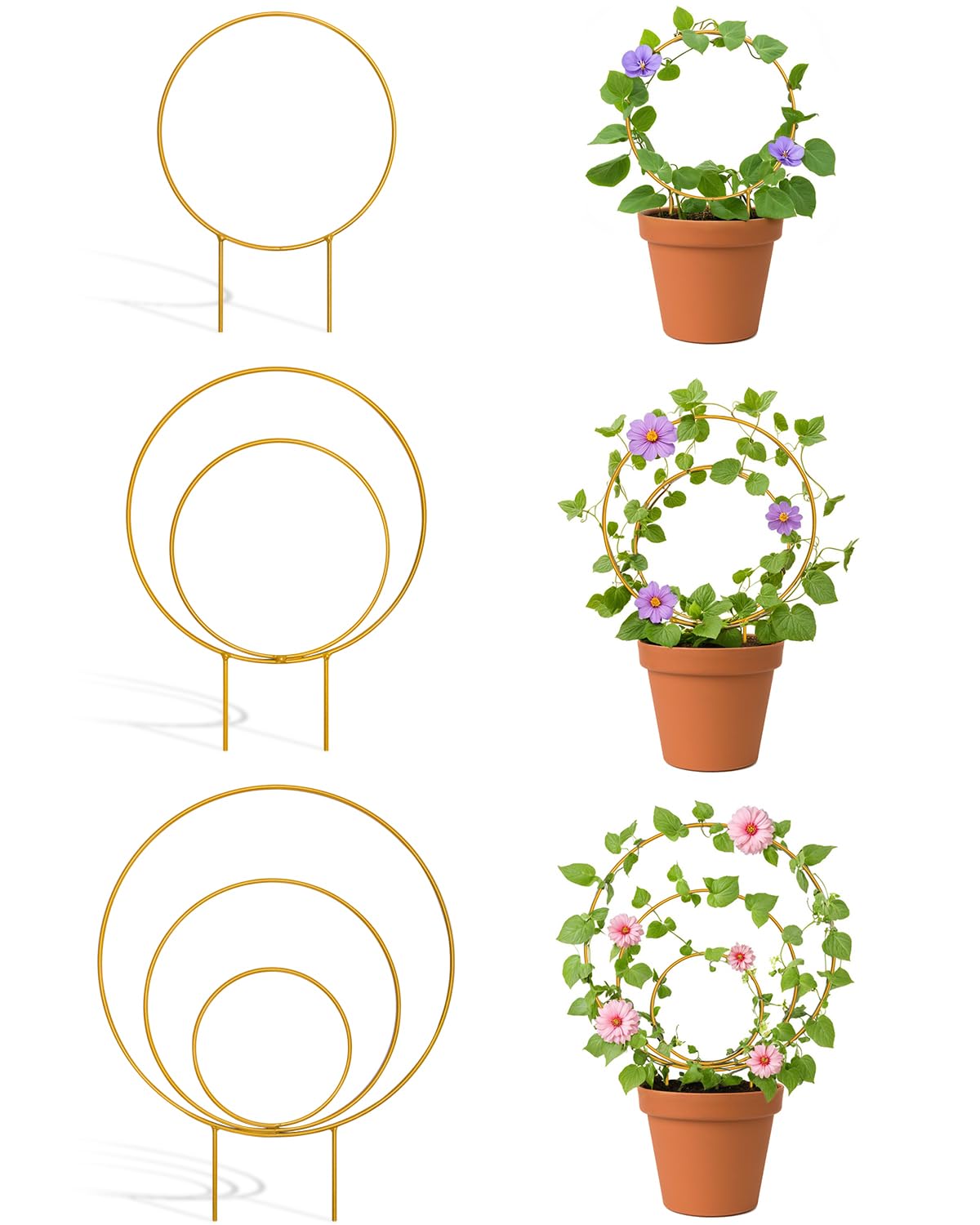 3 Pack Round Metal Plant Trellis for Climbing Plants Different Sizes Golden Indoor & Outdoor Plant Support Frame for Hoya Ivy Pothos Vine Creepers Potted Plants Garden Décor-image-26