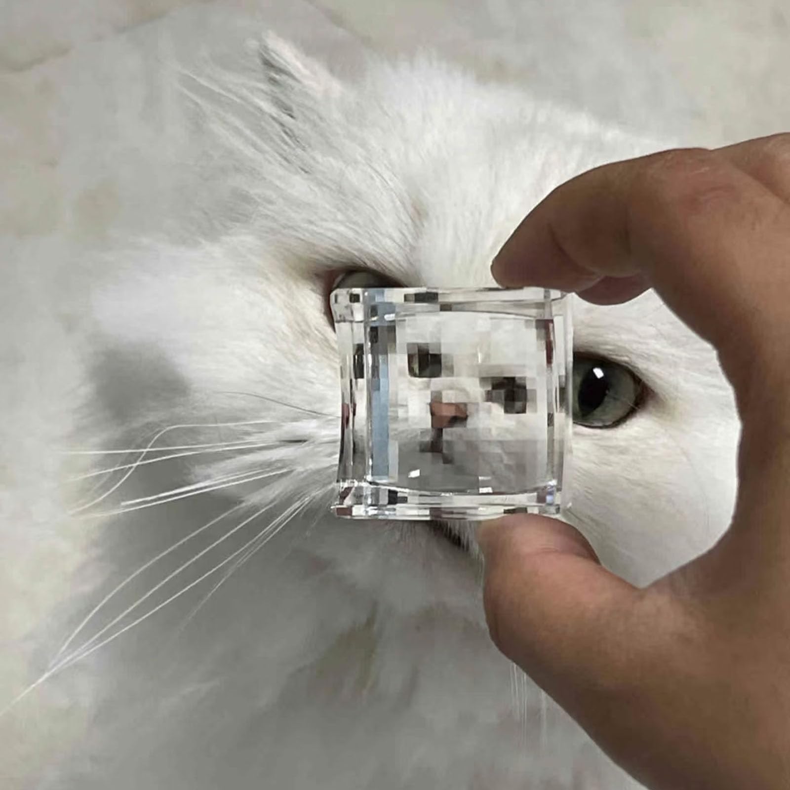 Amazon.com: Funny Pixelated Lens for Pixel View Effect