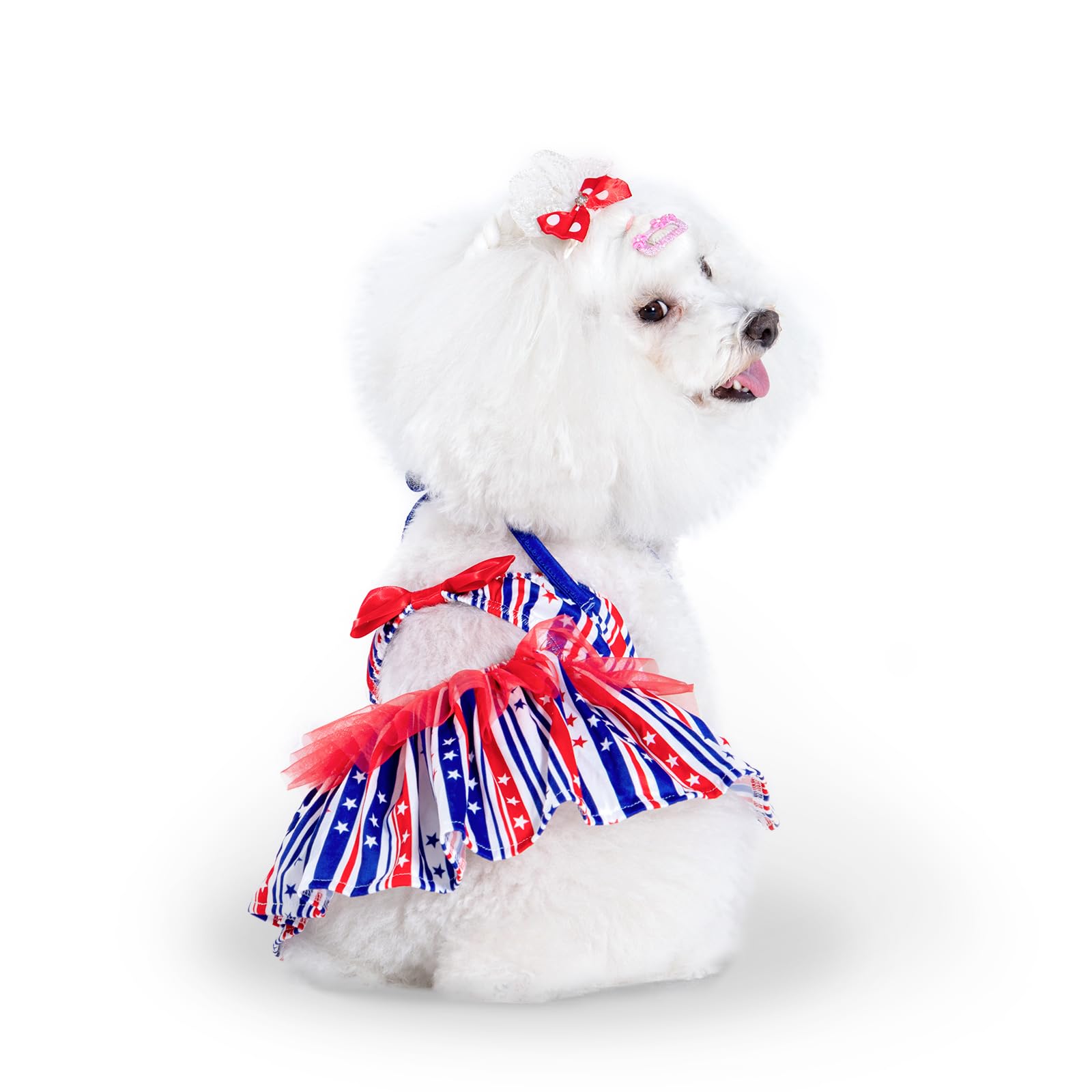 CuteBone One Piece Dog Bikini Swimsuit Dress - Puppy Bathing Suit Costume for Small Dogs - Comfortable &amp; Stylish Pet Clothes for Summer Pool, Beach &amp; Play LTDB04M