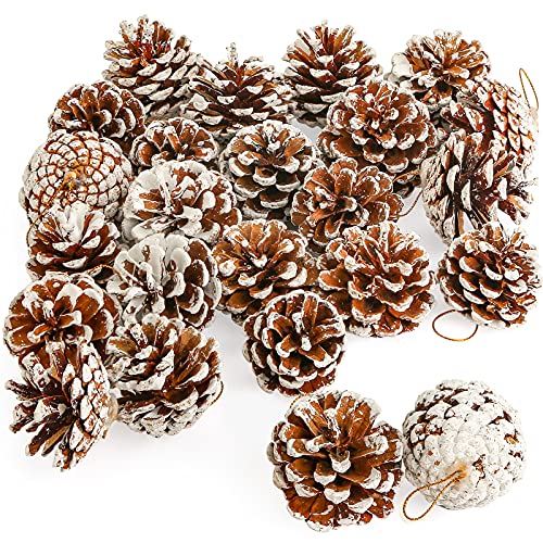 JOHOUSE 24PCS White Pine Cones, Snow PineCones Christmas Pine Cones Natural Pine Cones for Autumn and Winter Decor Christmas Decorations