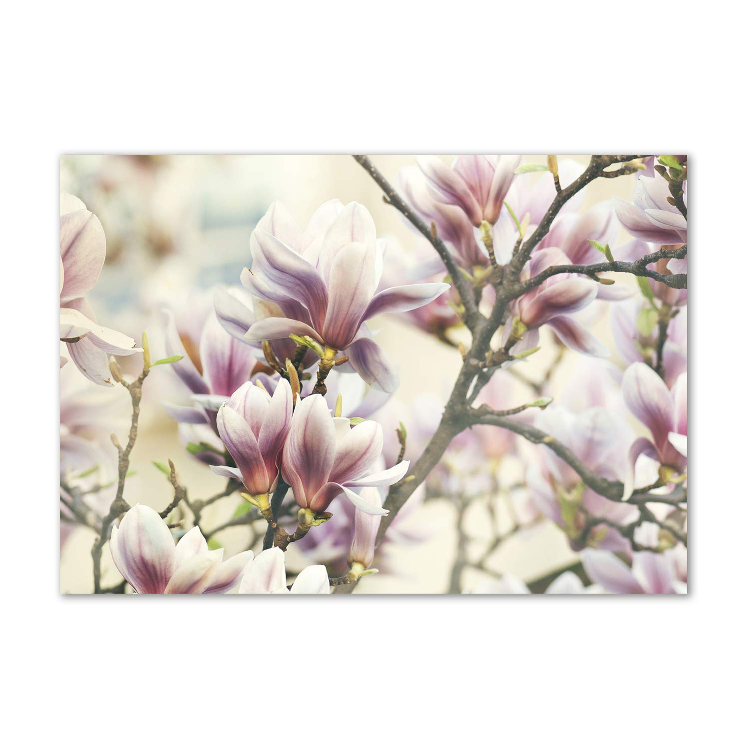 Tableau en verre acrylique magnolia Tulup pour remplacer les cadres fragiles
