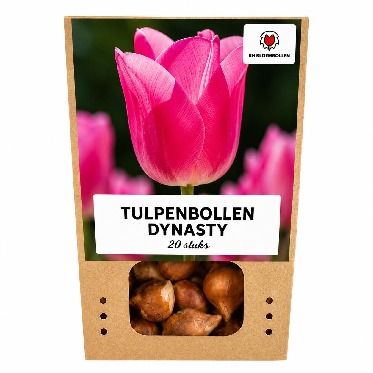 Bulbos de Tulipán Dynasty, Jardín y Macetas, Rosa y Blanco, 20 Unidades