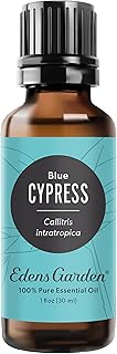 Edens Garden Cypress- Blue Essential Oil- 100% Pure Premium Grade, Undiluted, Natural, Therapeutic, Aromatherapy, The Best for Diffuser, Skin, Candle, Kid Safe 30 ml (1 fl oz)