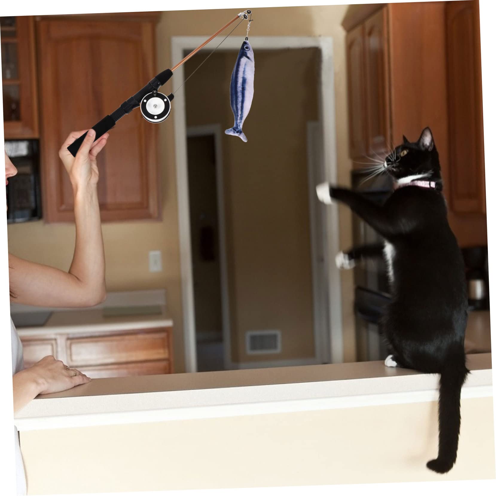 Happyyami 3 Pièces Chat taquin Interactive Cat Toy rétractable pour Chat Jouet Canne à pêche télescopique Jouets Poisson Chat Jouet pour Chat d'herbe à Chat Animaux