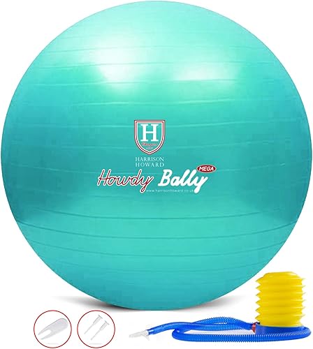Harrison Howard Mega Horse Play Ball - Pelota de fútbol gigante antiestallido, 22 pulgadas, color turquesa