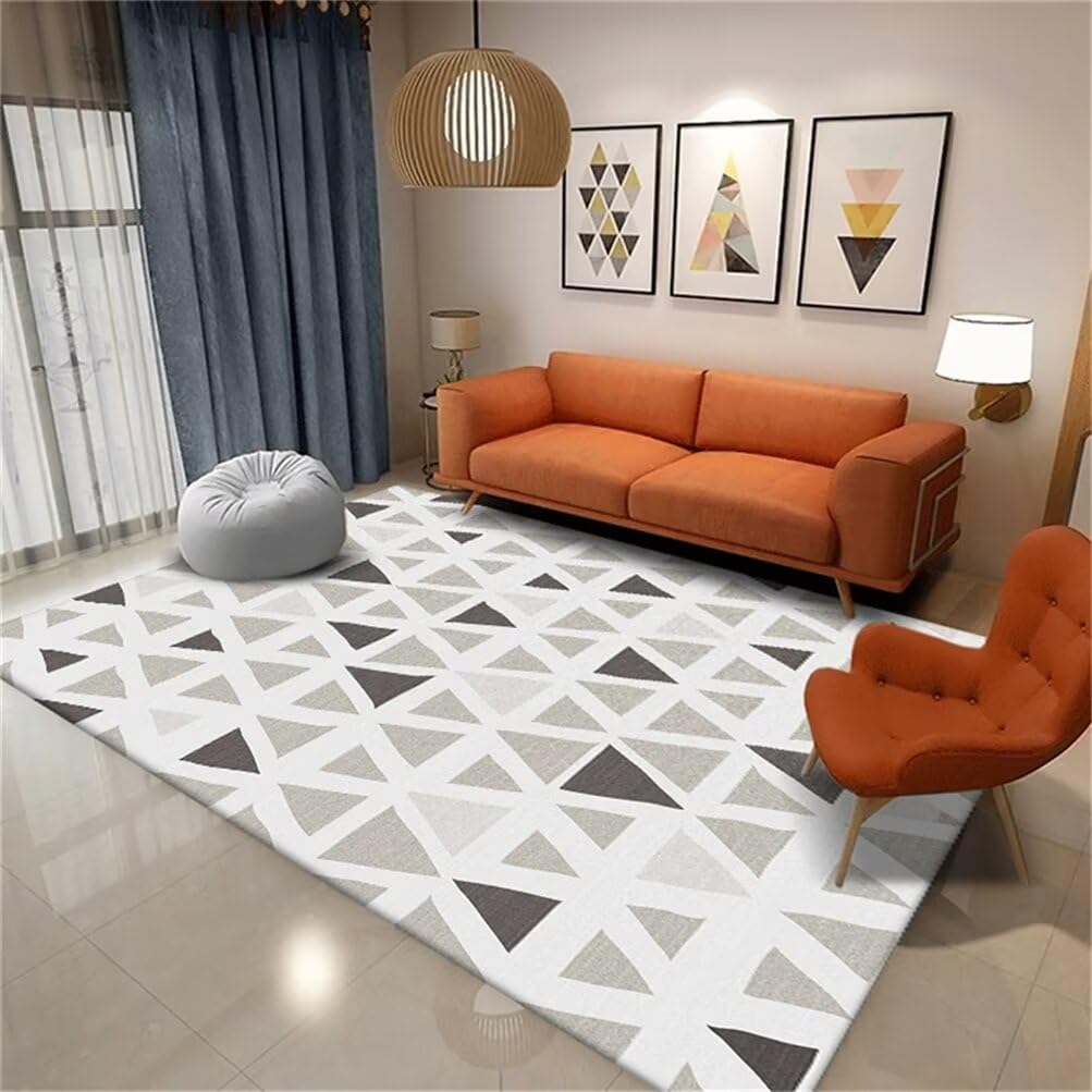 Tapis de salon résistant aux taches 160x210 cm pour en finir avec la saleté