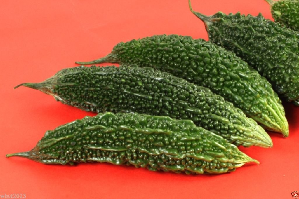 Amazon.com : Bitter Gourds 10 Seeds (Japanese Variety)futo