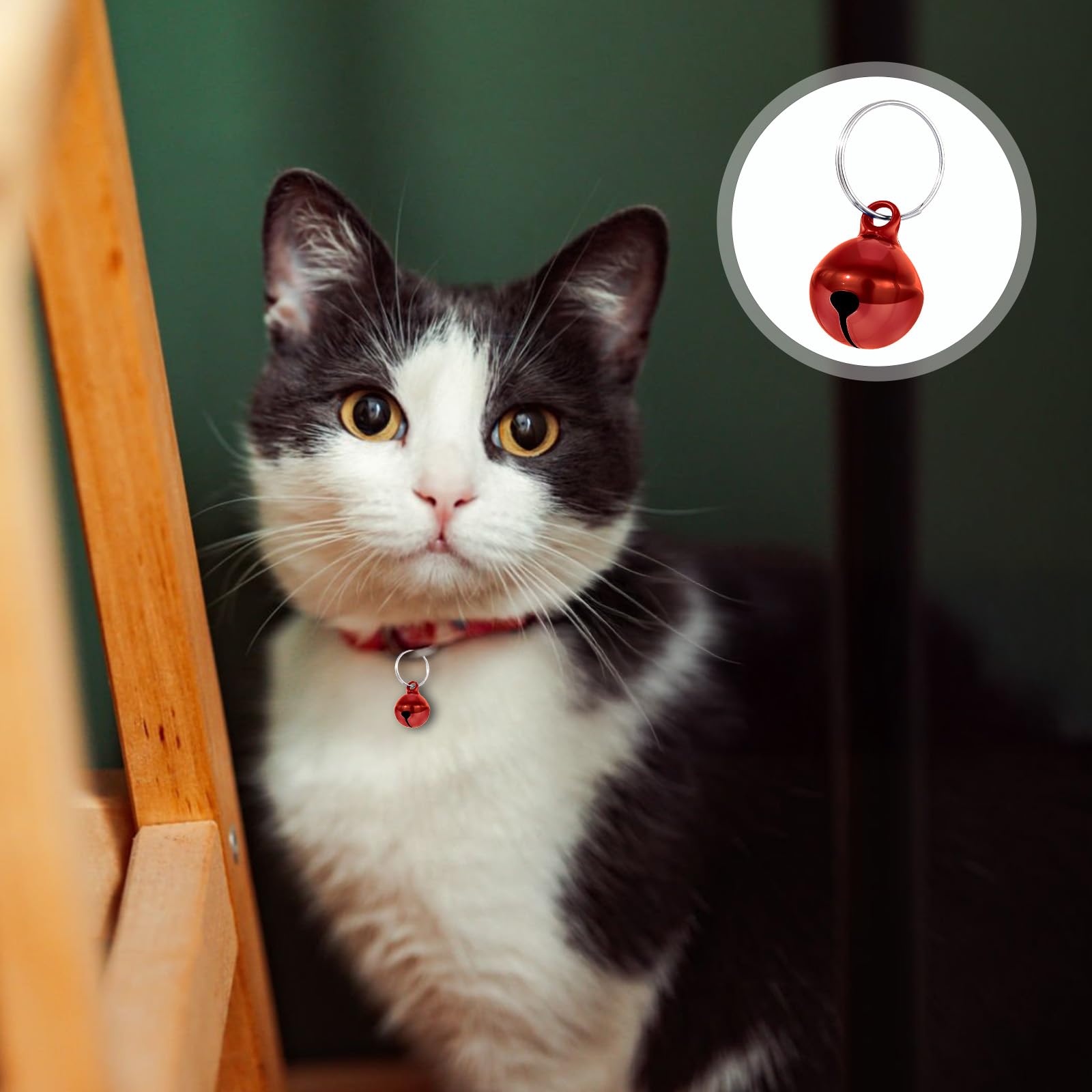 Lot de 25 clochettes colorées pour animaux de compagnie avec son net, clochettes pour chat et collier doag avec porte-clés, clochettes d'entraînement anti-perte, pendentif pour collier de dressage