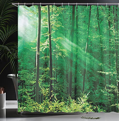 ABAKUHAUS Forest Shower Curtain, Sun Rays Bursting into the Forest Trees Foliage Misty Morning Serenity Picture - Image 3