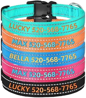 Personalisiertes Hundehalsband mit Name & Telefonnummer - Reflektierendes Gestickt Stickhalsband | Weiches, verstellbares Nylon | 5 Größen (XS-XL) für Kleine, Mittlere, Große Hunde product image