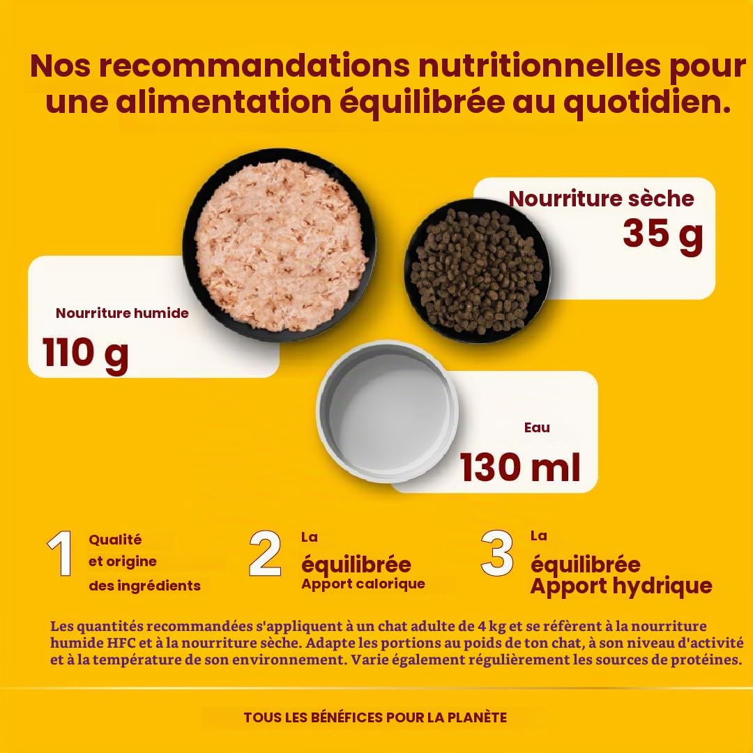 Almo Nature HFC Jelly - Nourriture Humide pour Chat Adulte - Truite et Thon - 70 g x 24 Boîtes
