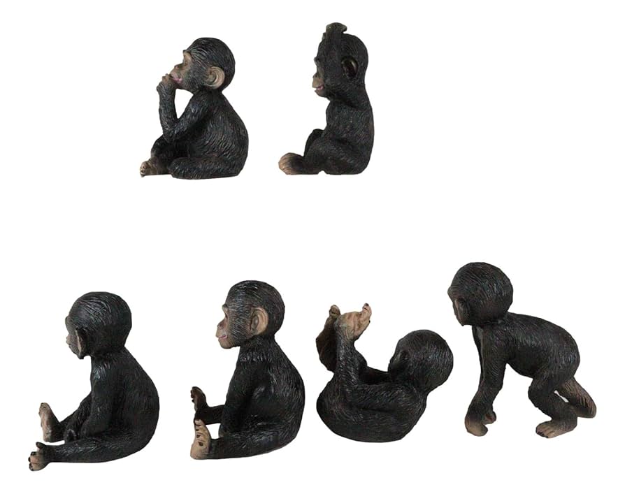 猿さん専用品 猿さん専用品 Amazon.co.jp: Great Eastern Entertainment