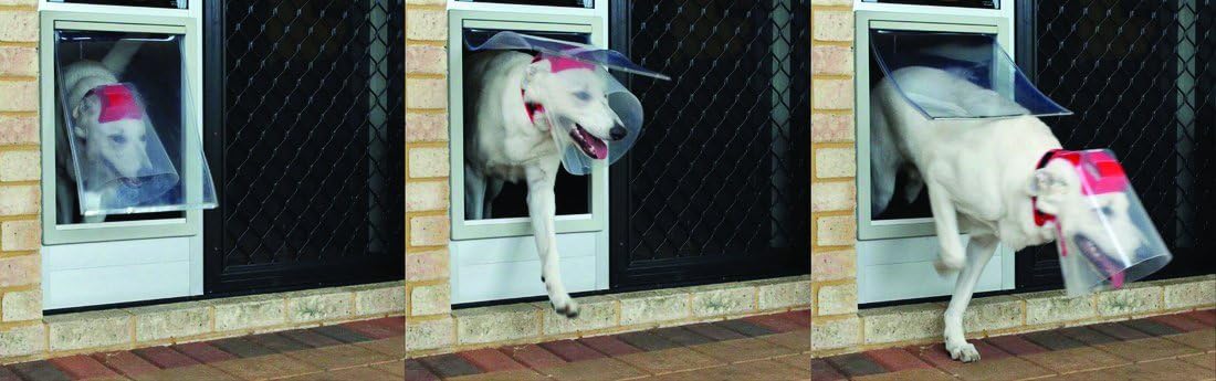 Novaguard Recovery Collar Canine, Toy 4-13 lbs, Head Measurement 4.3-5 inches
