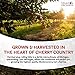 Stanton Orchards Montmorency Tart Cherry Juice Concentrate - 100% Pure All Natural Unsweetened Juice Concentrate - Natural Antioxidants - No Added Sugar or Preservatives - 32 Fl Oz Pack of 6